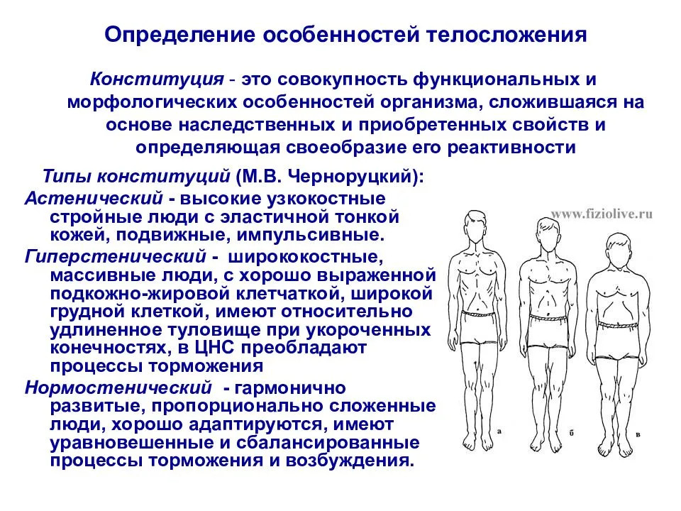 Нормостенический тип телосложения