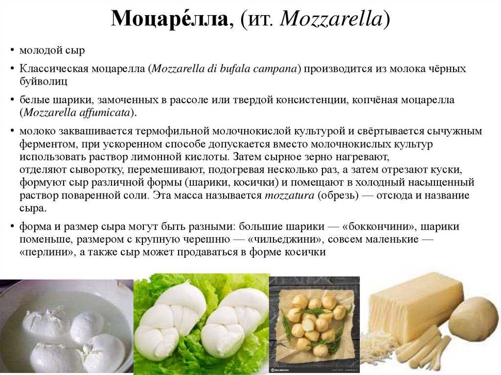 Как приготовить сыр моцарелла. Моцарелла. Разновидности сыра моцарелла. Сыр моцарелла в домашних условиях. Оболочка для моцареллы.