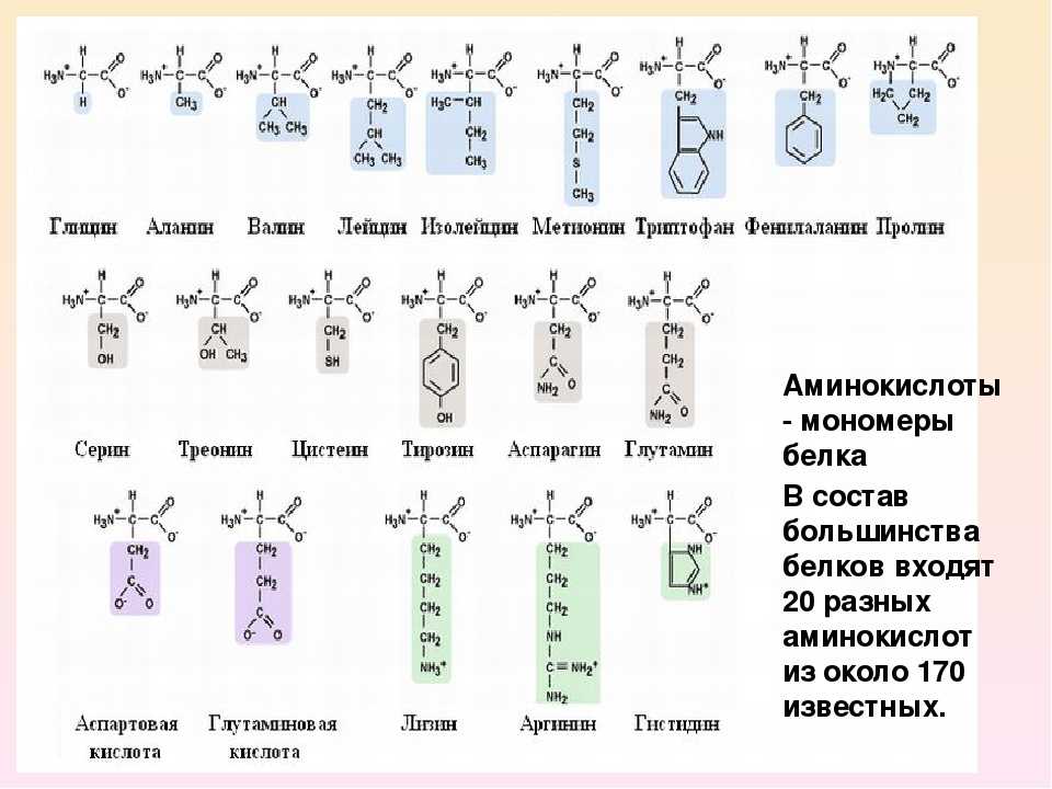 Незаменимая аминокислота в составе белков. 20 Аминокислот и их формулы. 20 Аминокислот таблица. 20 Белковых аминокислот формулы. Аминокислоты таблица формулы 20 биохимия.