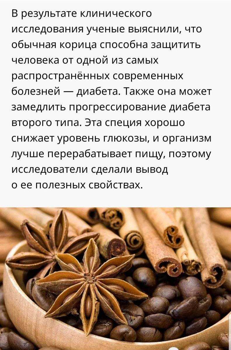 Корица — химический состав, пищевая ценность, бжу
