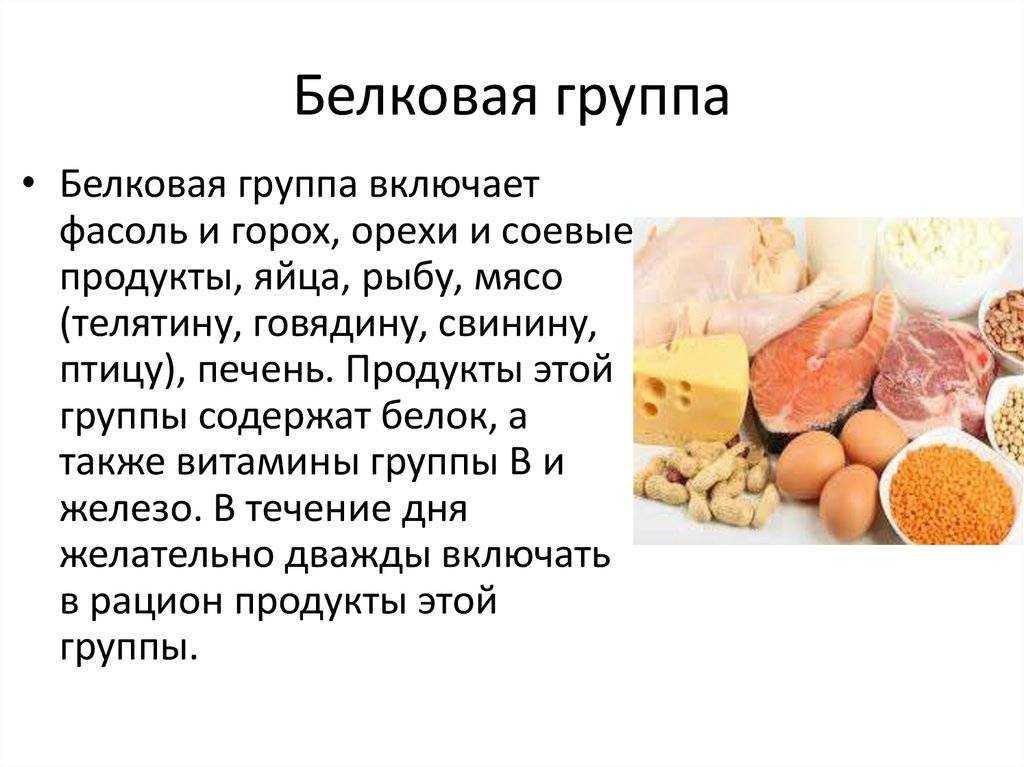 Белки в продуктах презентация