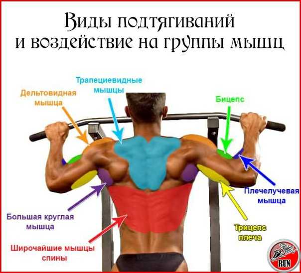 Нужно ли располагать руки широко при подтягивании Куда должны смотреть ладони Есть много вариантов одного из самых популярных упражнений The Challenger решил разобраться, как работают мышцы в разных видах подтягиваний Помогал нам мастер-тренер фитнес-клуб