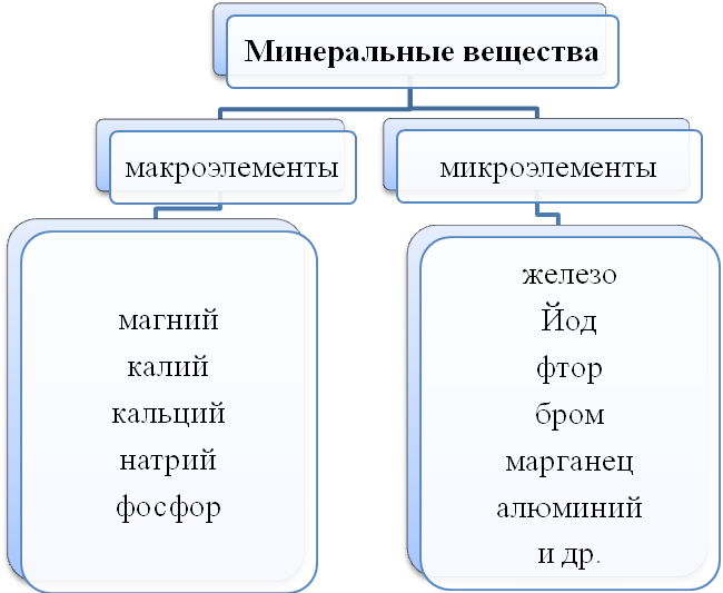 Содержание минеральных веществ в продуктах питания
