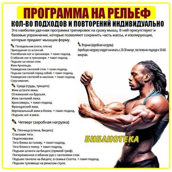 Круговая и силовая тренировка, виды и методы тренировок