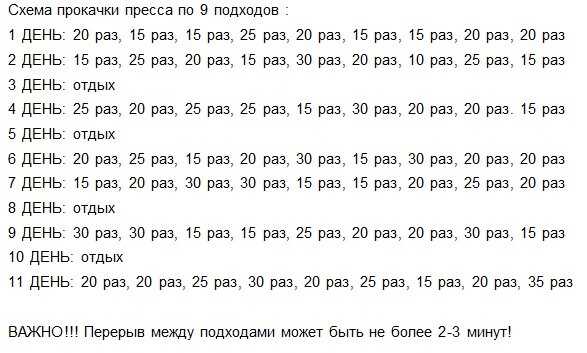 Описание и назначение мышц пресса, можно ли качать пресс каждый день, сколько раз в неделю тренироваться