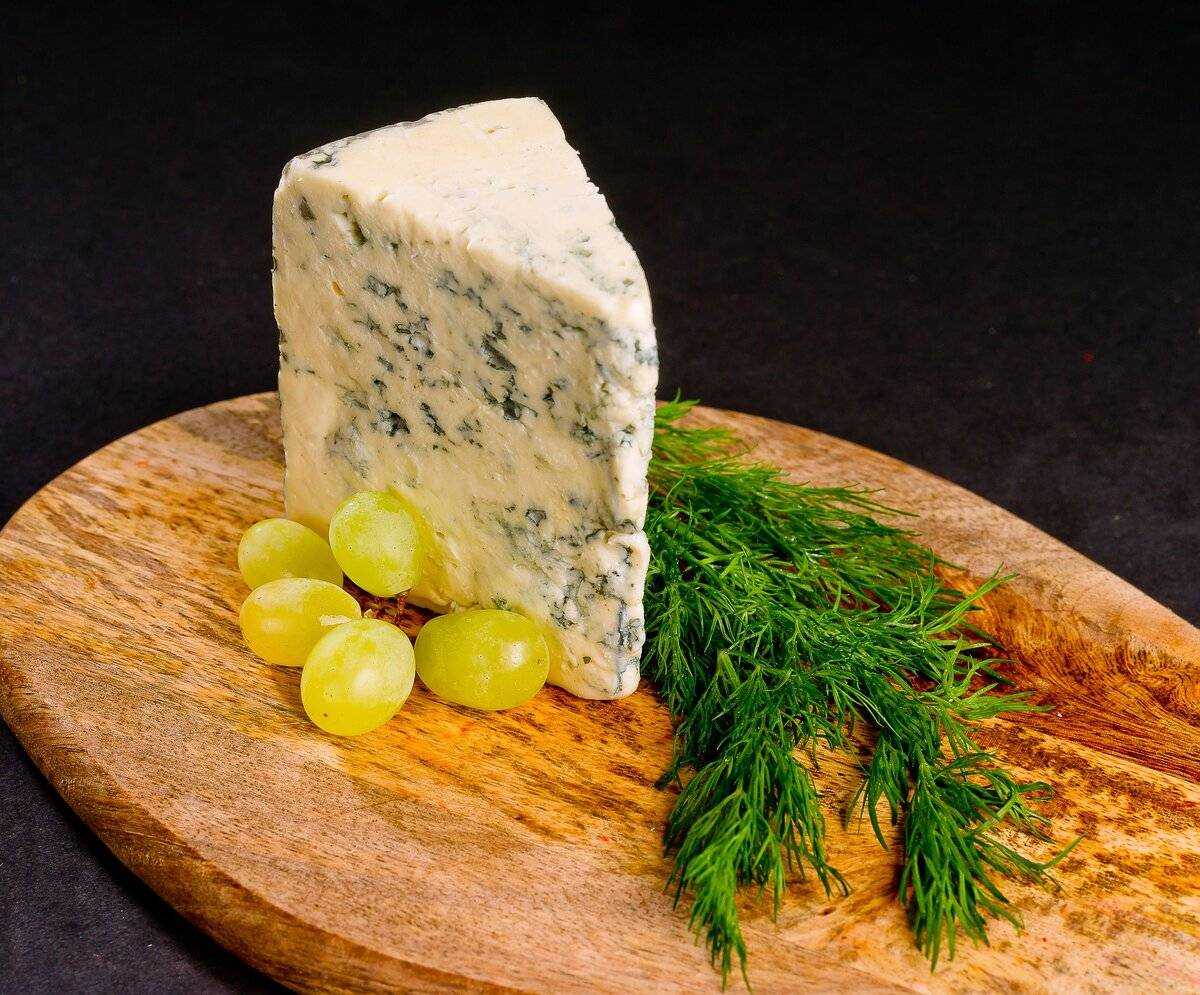 Польза и вред сыра с голубой, белой, зеленой плесенью – хорошие привычки