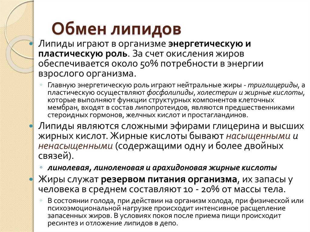 Обмен жиров. Липидный обмен. Метаболизм липидов в организме. Обмен жиров и липидов. Обмен липидов в организме кратко.