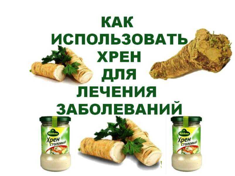 Польза и вред хрена для здоровья организма человека