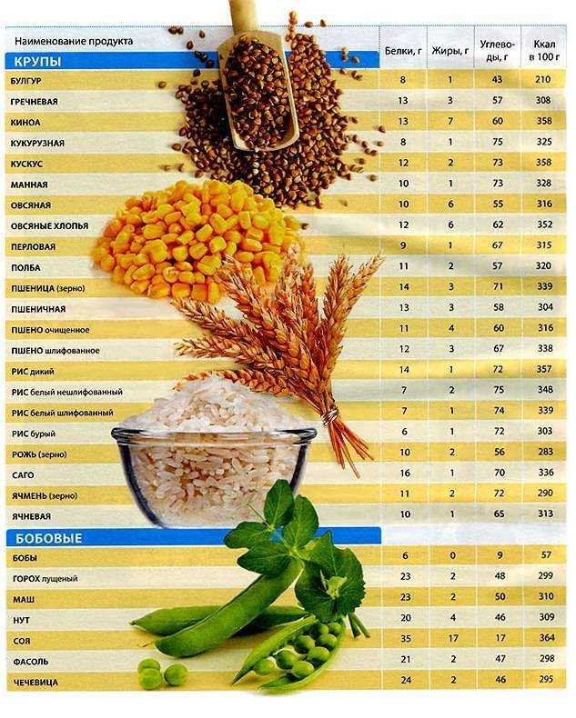 Таблица содержания клетчатки в продуктах питания