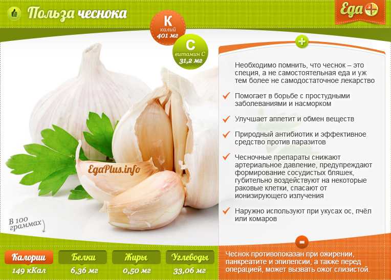 Лучшие способы как есть чеснок и сохранять здоровье