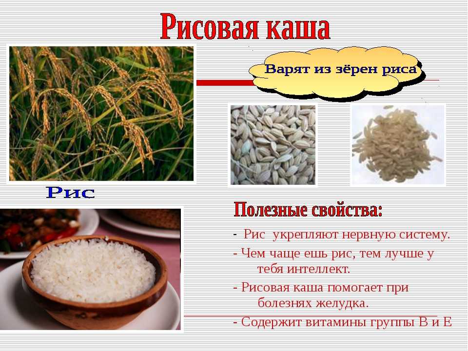 Сколько ккал в рисе вареном на воде с солью на 100 грамм, калорийность бурого и белого