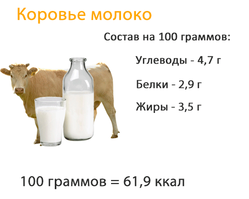 Молоко — содержание бжу, калорийность, полезные свойства