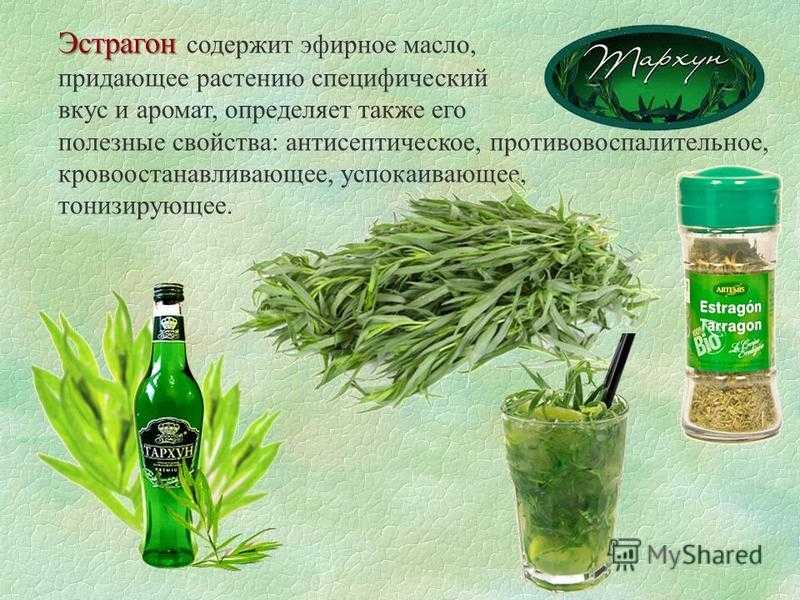 Горох: энергетическая ценность, польза для здоровья, калорийность, использование в диетическом питании. горох: бжу на 100 грамм