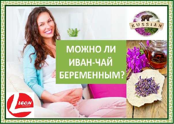 Иван-чай при беременности: можно ли пить в 1-м, 2-м и 3-м триместрах, польза и противопоказания