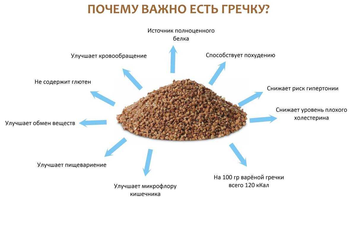 Правильное питание во время беременности - советы по правильному питанию - agulife.ru