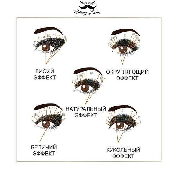 Виды наращивания ресниц эффекты со схемами и описанием