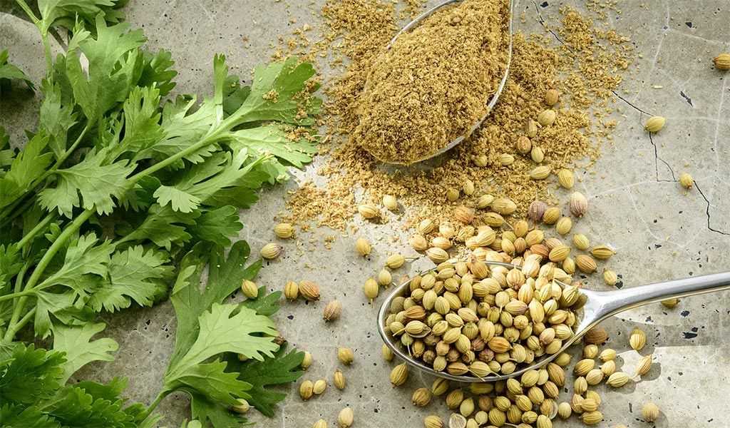 Витамин b9 (фолиевая кислота): в каких продуктах содержится – эл клиника