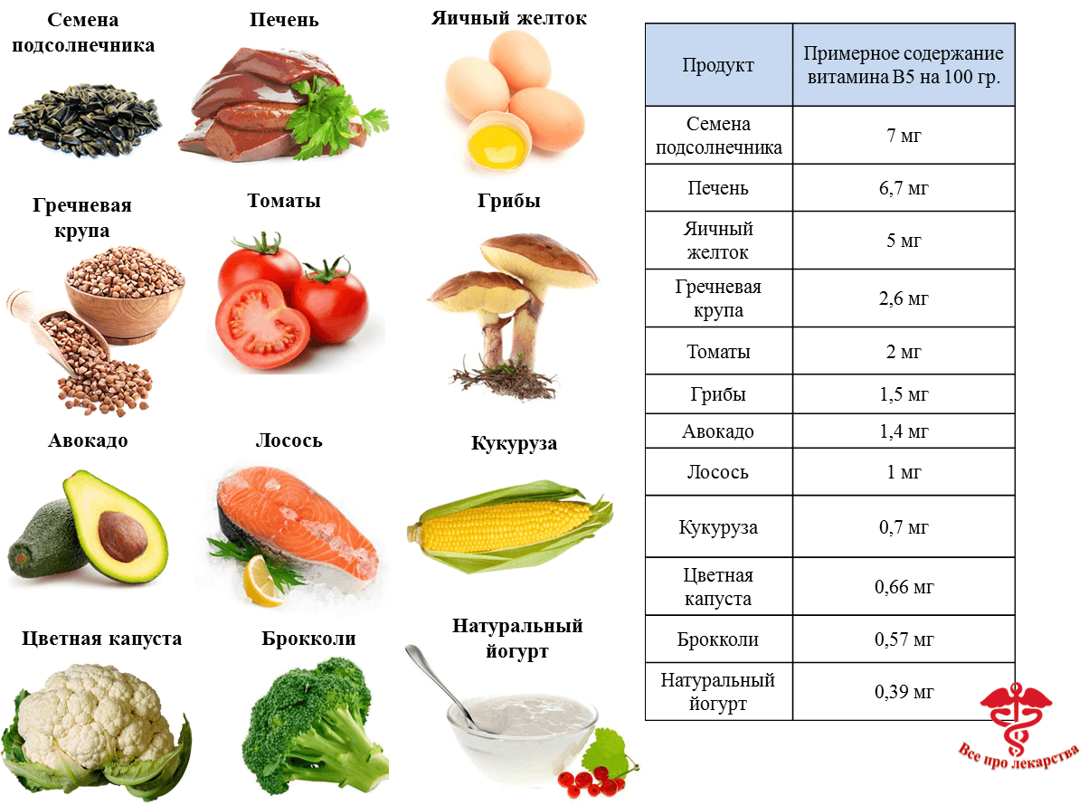Схема b1 b6 b12