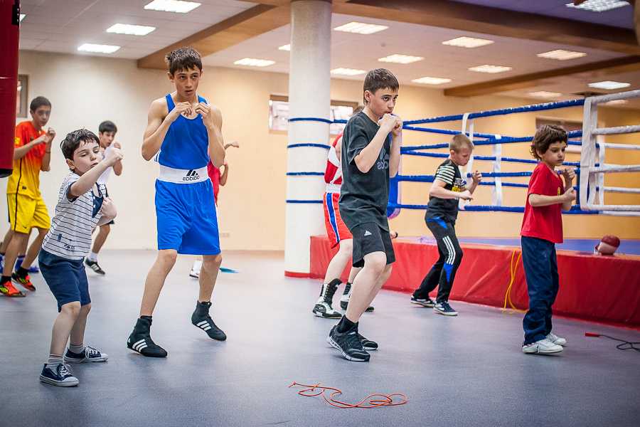 Картинки секция бокса