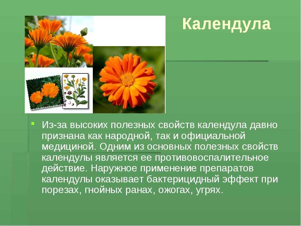 Полезны ли витамины а и е для кожи?