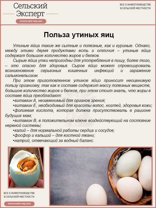Калорийность яйца