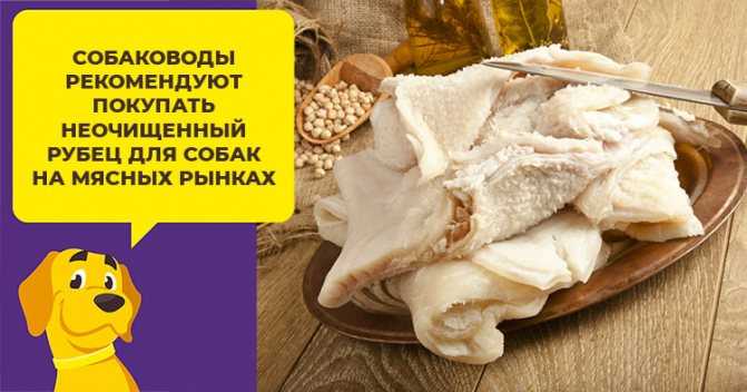 Язык: калорийность разных видов субпродукта и его пользя при похудении