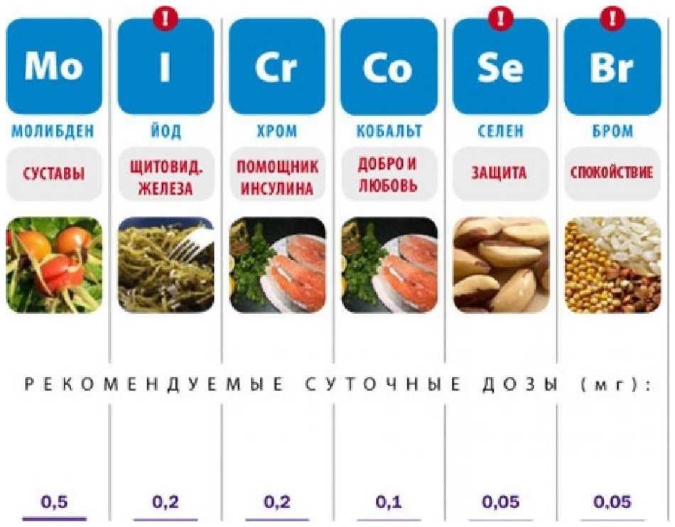 Таблица продуктов витамины микроэлементы