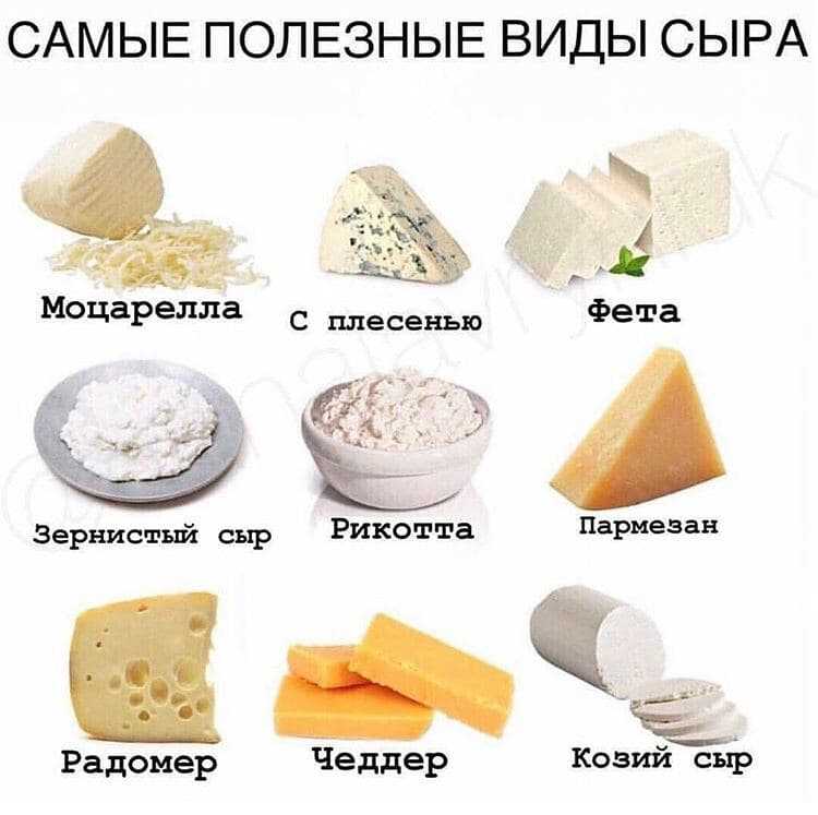 Сыр пармезан: польза и вред, состав и калорийность