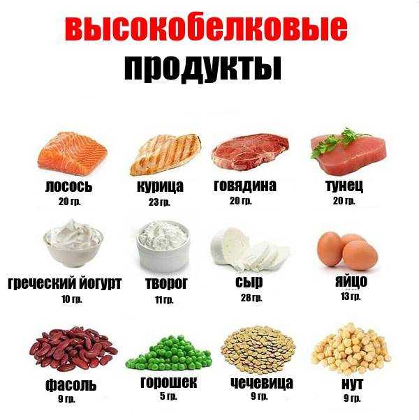 Белки