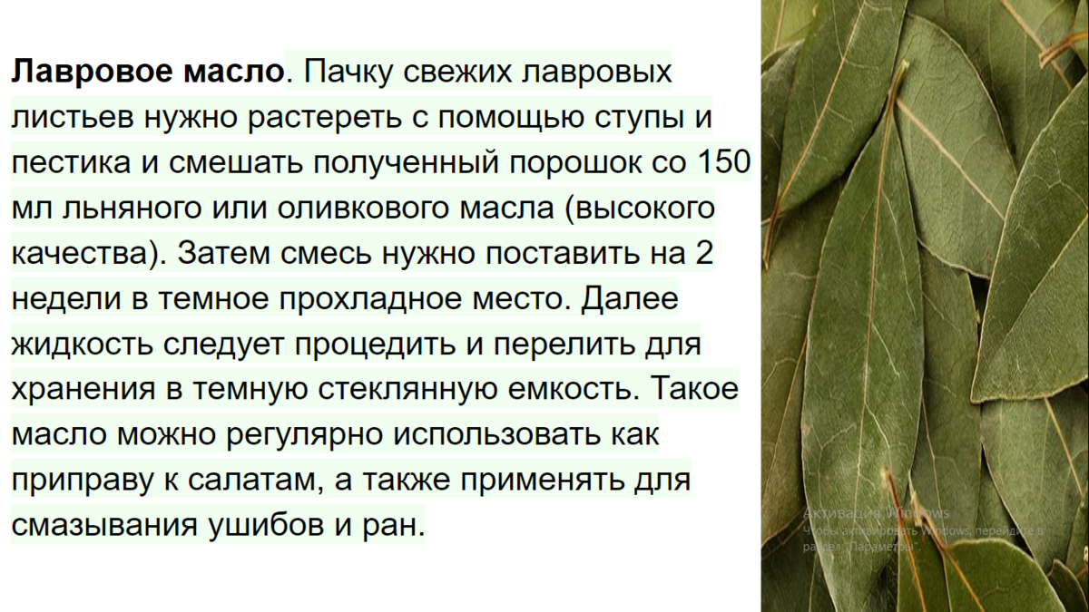 Лавровый лист: состав, калорийность, польза, рецепы