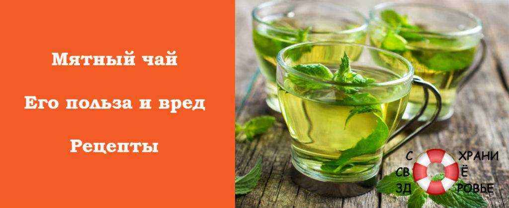 Чай с мятой: польза и вред, калорийность, полезные и лечебные свойства, противопоказания для мужчин и женщин