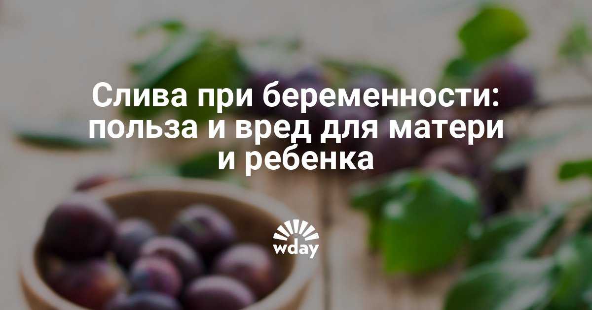 Какие фрукты можно и нельзя употреблять во время беременности? • центр гинекологии в санкт-петербурге
