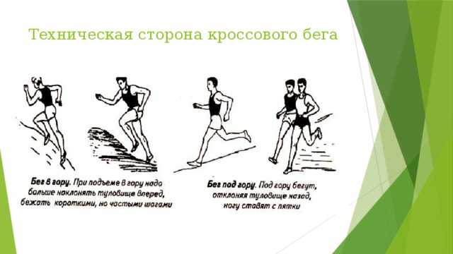 Виды беговых тренировок | фитнес | онлайн-журнал #яworldclass