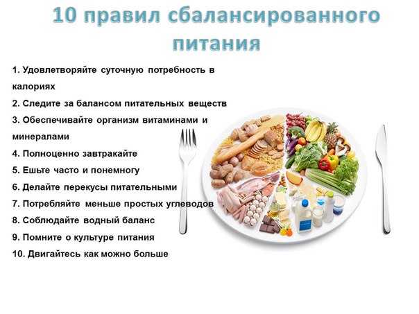 Основные принципы рационального и здорового питания