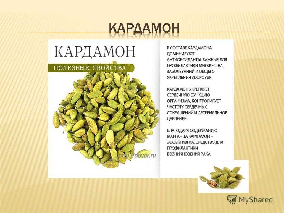 Питательная ценность кофе и кофейных напитков