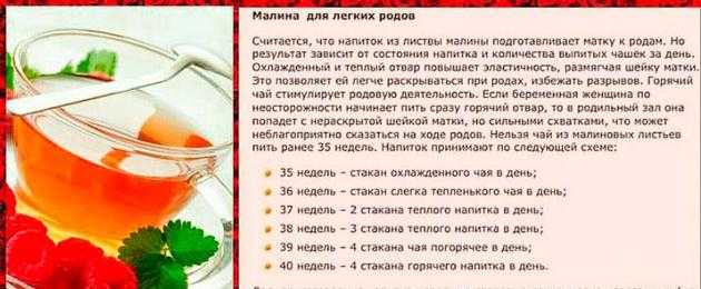 Чернослив при беременности на ранних и поздних сроках: как слабительное от запоров, польза и вред / mama66.ru