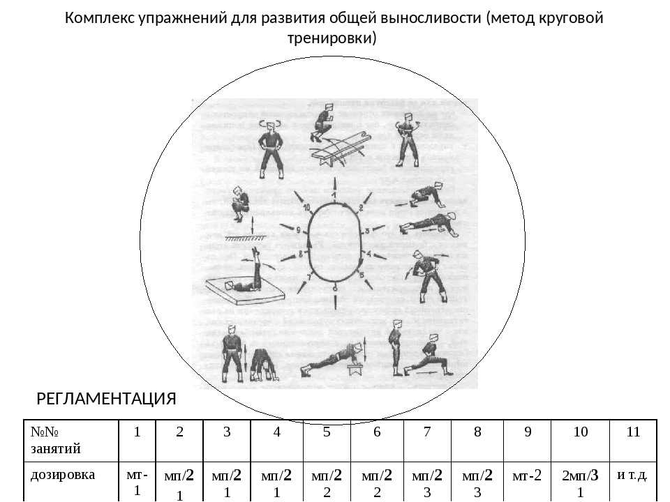 Комплекс упражнений для развития выносливости с картинками