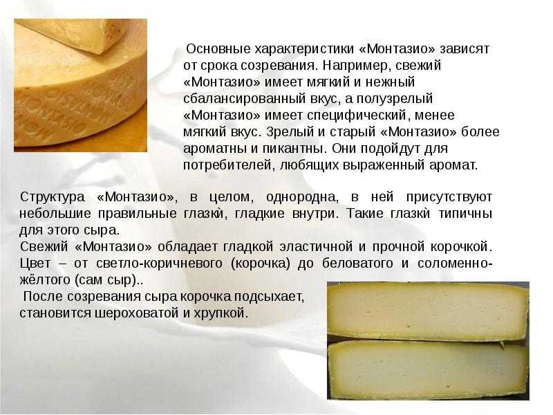 Белковый сыр. Монтазио сыр описание. Сыр Монтазио срок созревания. Описание сыра. Технология созревания сыра.