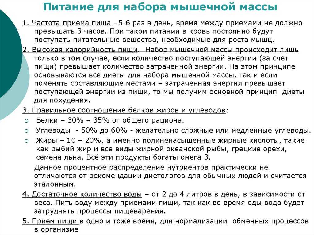 План питания для набора массы