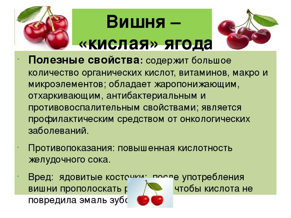 Черешня: полезные свойства, калорийность и возможные противопоказания | здорова и красива
