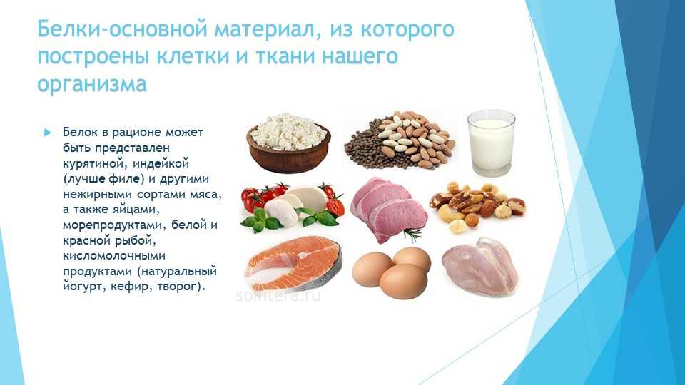 Оптимальное соотношение белков, жиров и углеводов для правильного питания