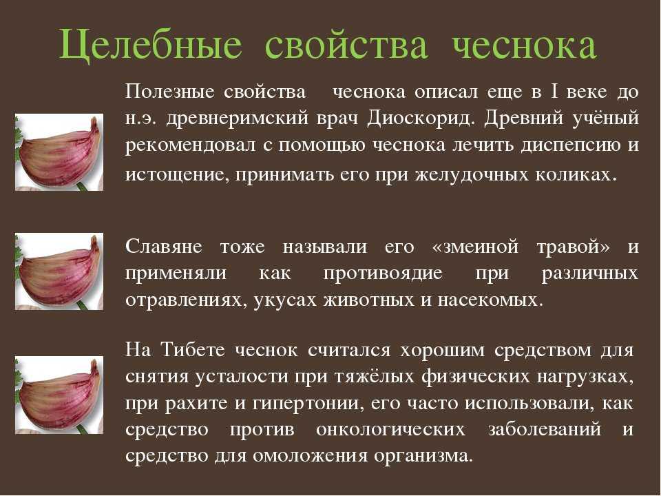 10 доказанных фактов о пользе и вреде чеснока для здоровья