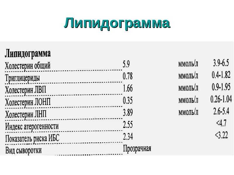 Липидограмма (холестерин и триглицериды) – норма, расшифровка по шкале score | университетская клиника