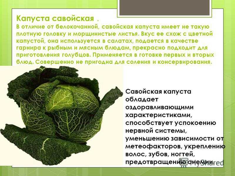 Цветная капуста польза и вред и отличия от брокколи
