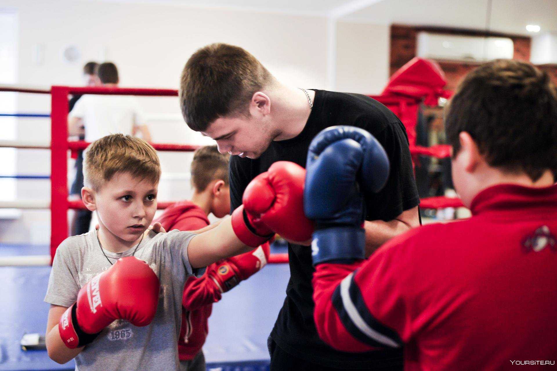 Фитбокс (фитбоксинг, fitbox): что это такое, преимущества и недостатки