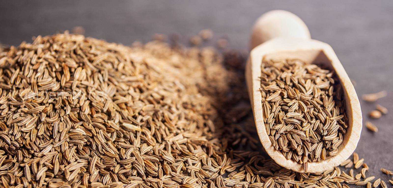 Кальций в продуктах: таблица, кальций в организме | food and health