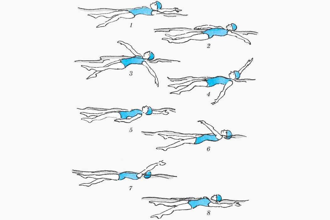 Техника плавания на спине для начинающих в картинках пошагово