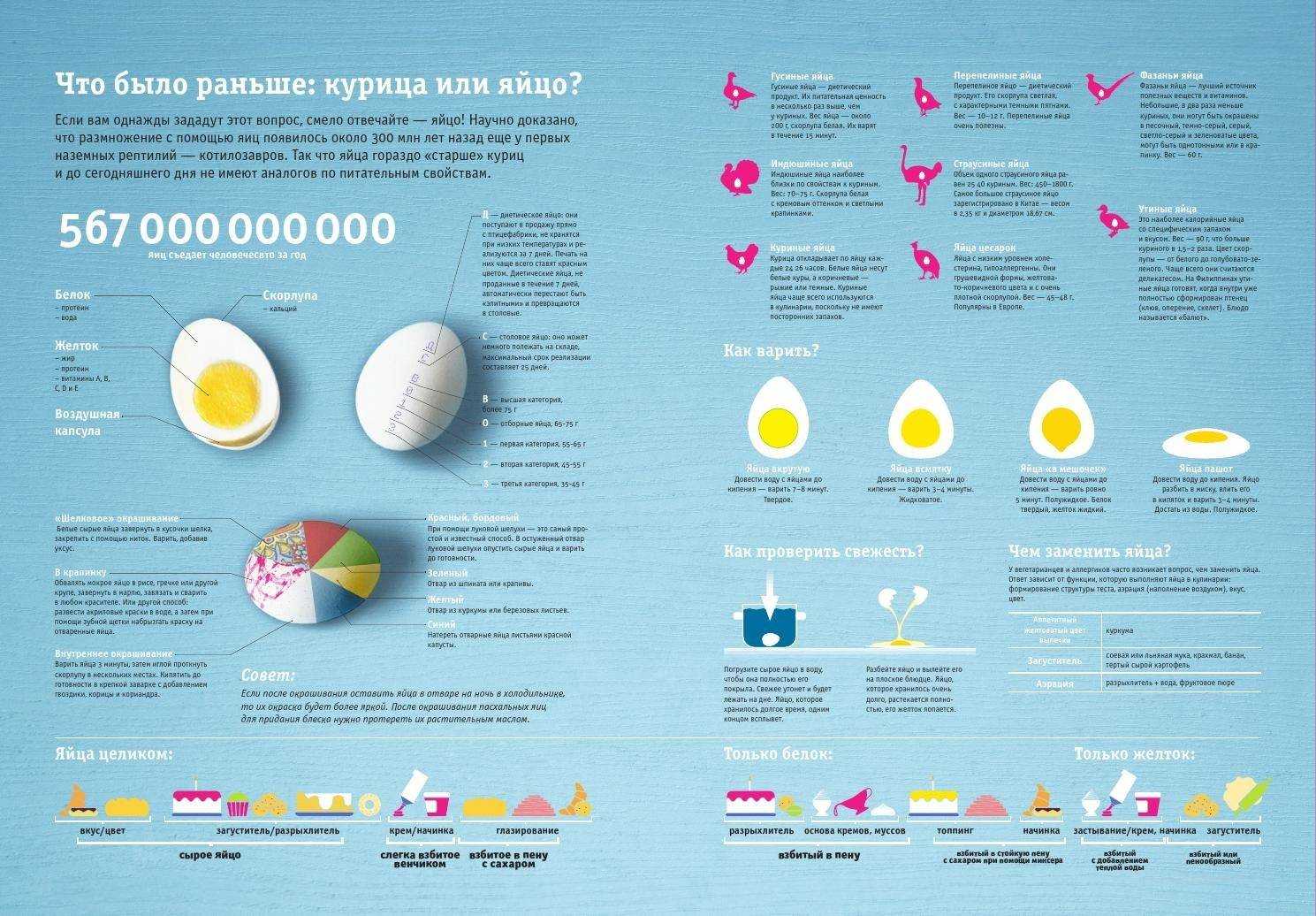 Пищевая ценность яиц и химический состав