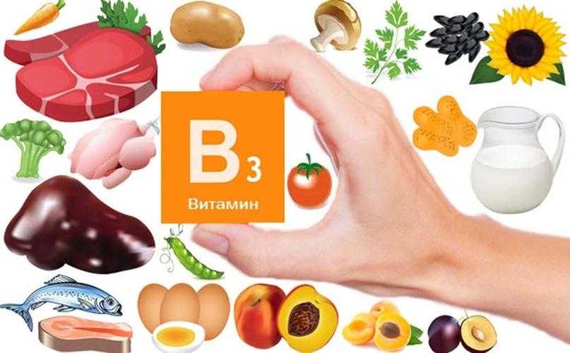 Витамины группы в: в каких продуктах содержатся