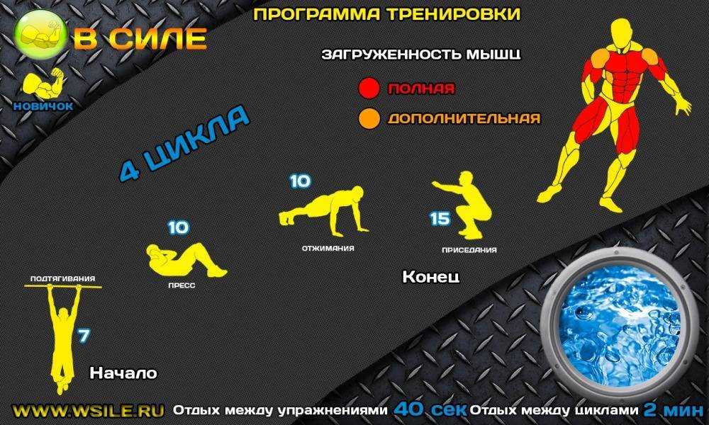Упражнения на пресс в тренажерном зале: виды и техника выполнения
